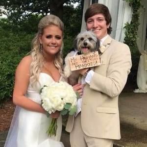 Meet your Posher, Luke